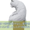 【大阪で猫背直す】なら、姿勢矯正・歪み直し専門のしんそう箕面桜井